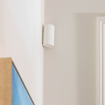 Sugarland security motion sensor