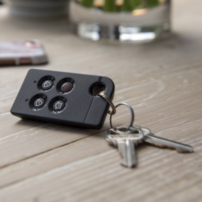 Sugarland security key fob