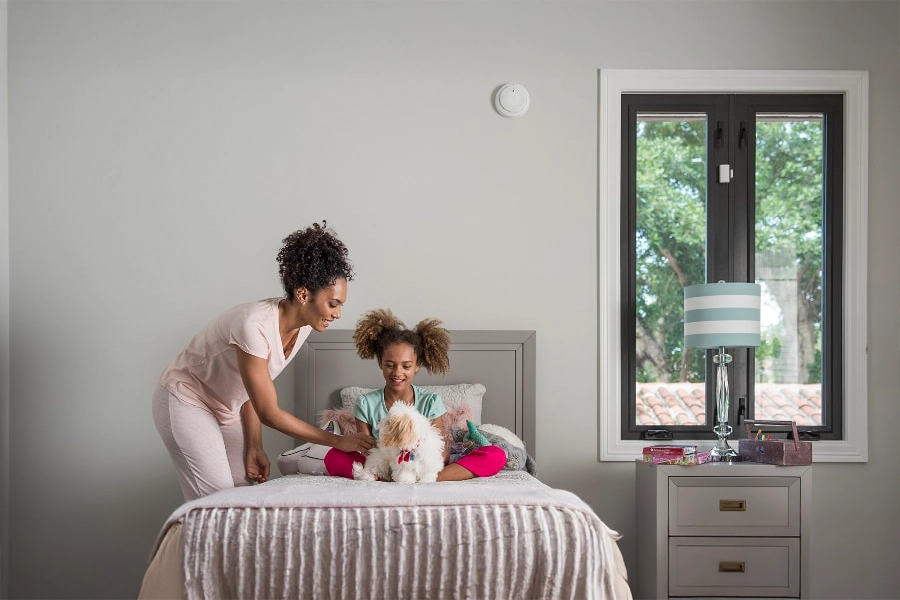 smoke & carbon detector Sugarland